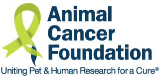 Animal Cancer Foundation Year in Review 2020